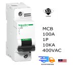 Schneider MCB 1pole 100A