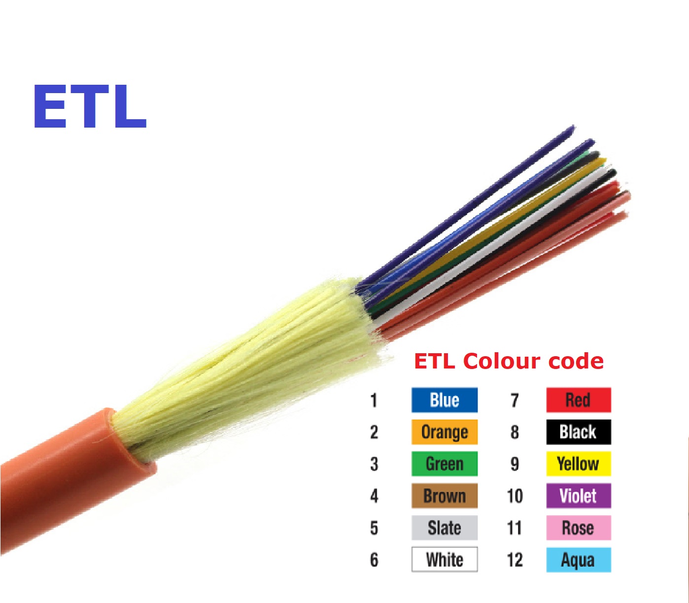 MM cable 12c02
