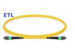 MPO/MPT APC & UPC Single mode Fiber Optic Patch Cord Cables 8C to 12C