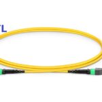 MPO/MPT APC & UPC Single mode Fiber Optic Patch Cord Cables 8C to 12C