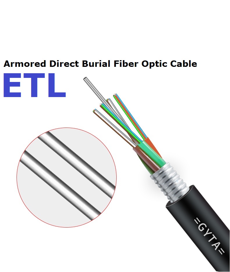 OFC cable 004