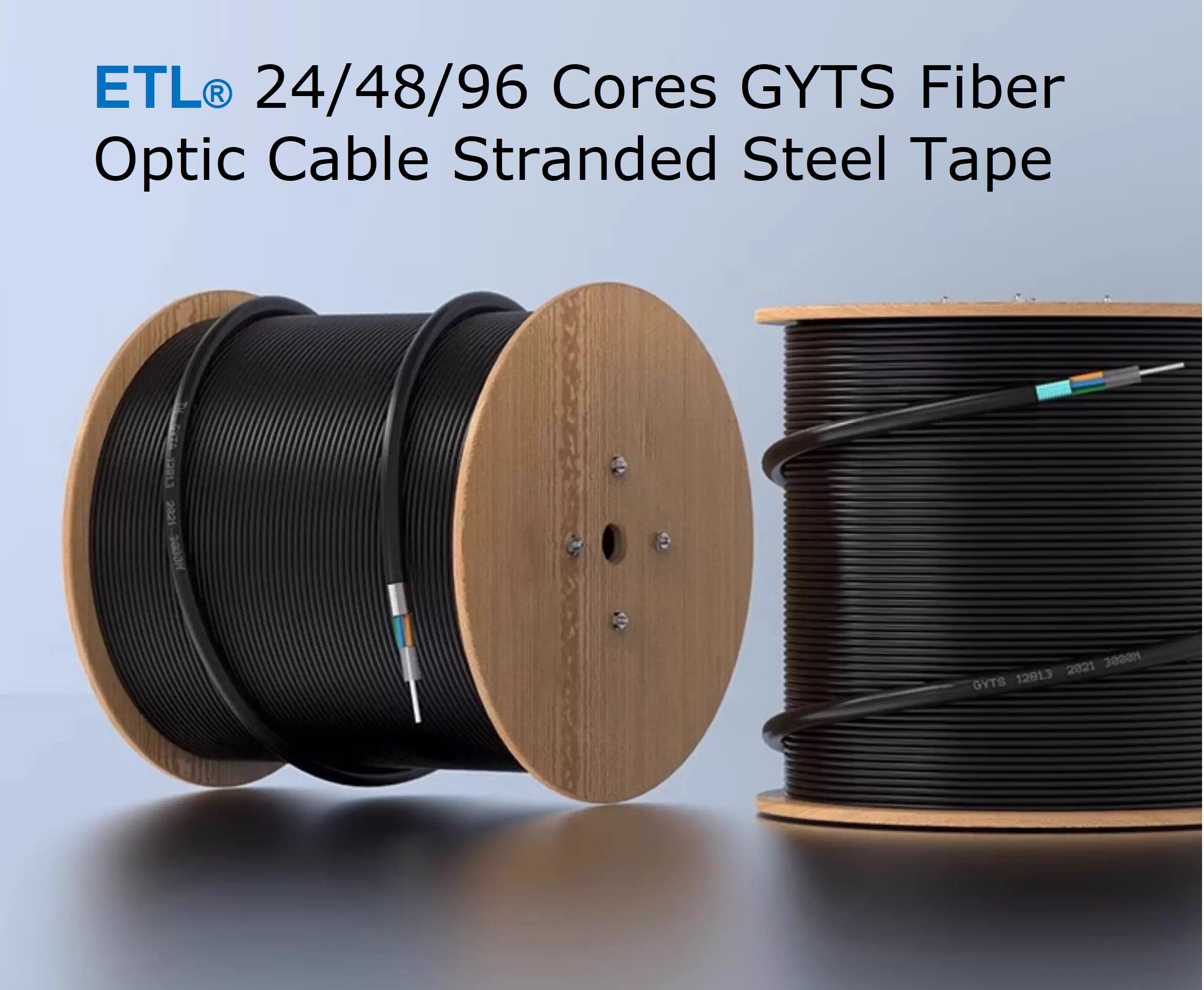 OFC cable 007